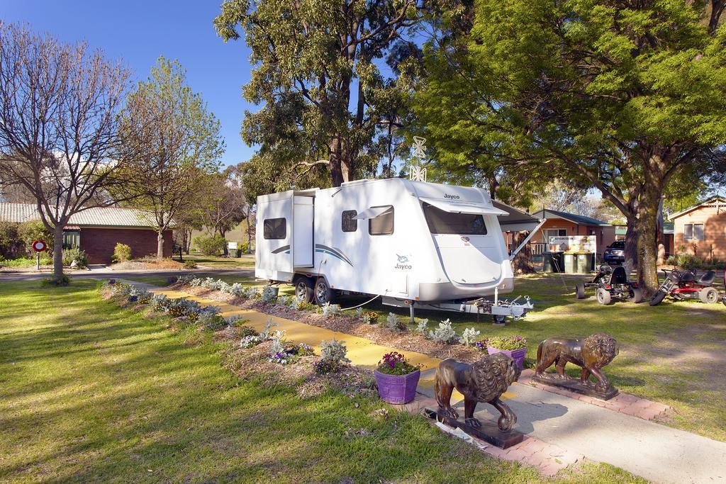 Armidale Tourist Park Otel Dış mekan fotoğraf