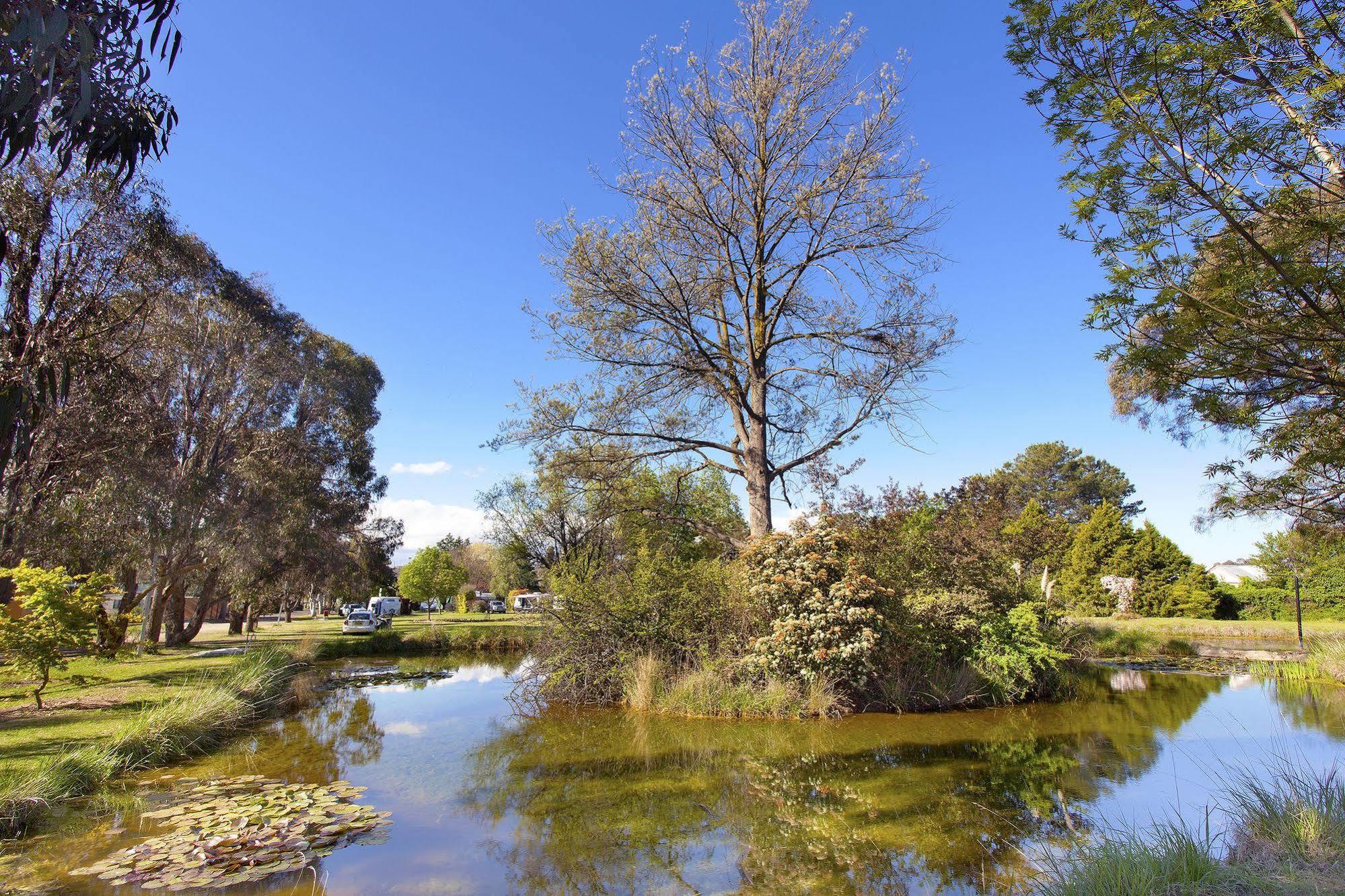 Armidale Tourist Park Otel Dış mekan fotoğraf